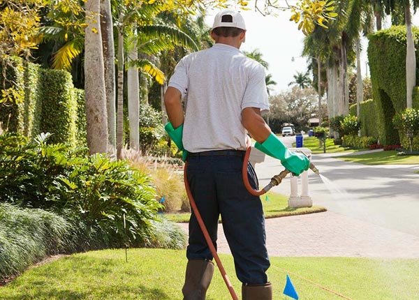 About Brewer ME Pest Control Pros